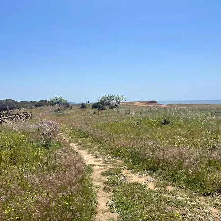 Sea-stretch Viewing Superking Flat By Bentobox Apartment *